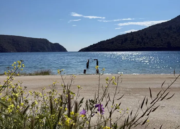 Apartment Pinelopi's House Porto Koufo