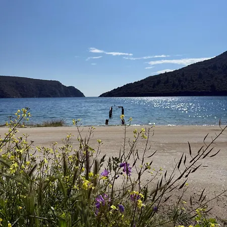 Appartement Pinelopi's House Porto Koufo