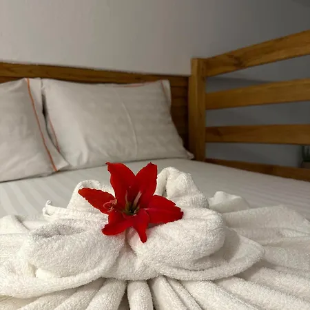 Appartement Pinelopi's House *